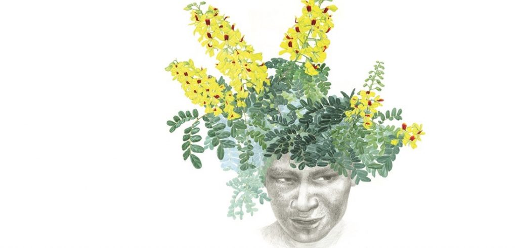 Pau Brasil di Margherita Leoni La natura rinasce attraverso l’arte