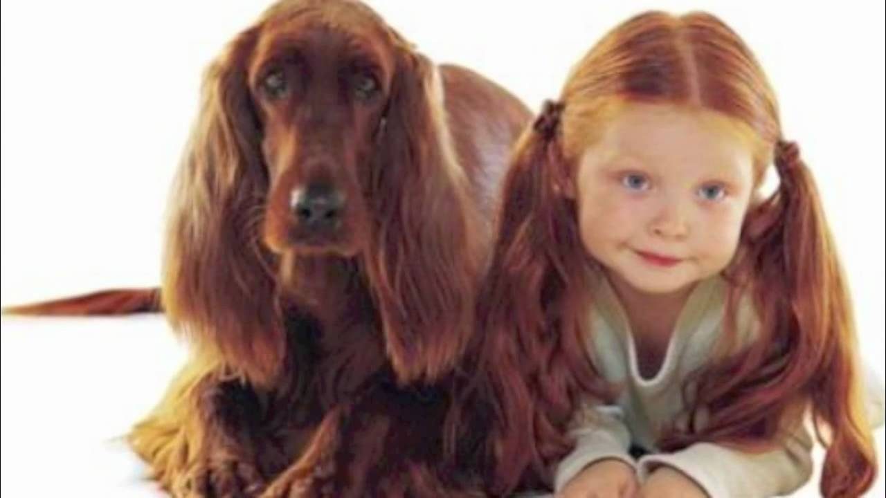 Scoprite il cane che vi assomiglia Ora c’è un’app che ve lo dice