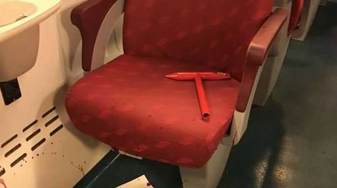 Sta meglio la ragazza di Ciserano aggredita a martellate in treno