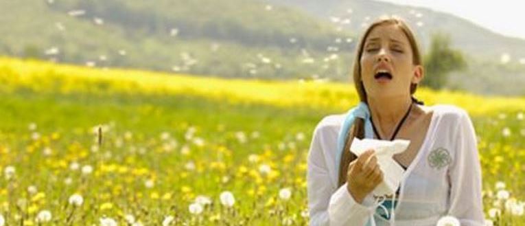 Come mettere a ko i pollini (allergici, imparate a difendervi)