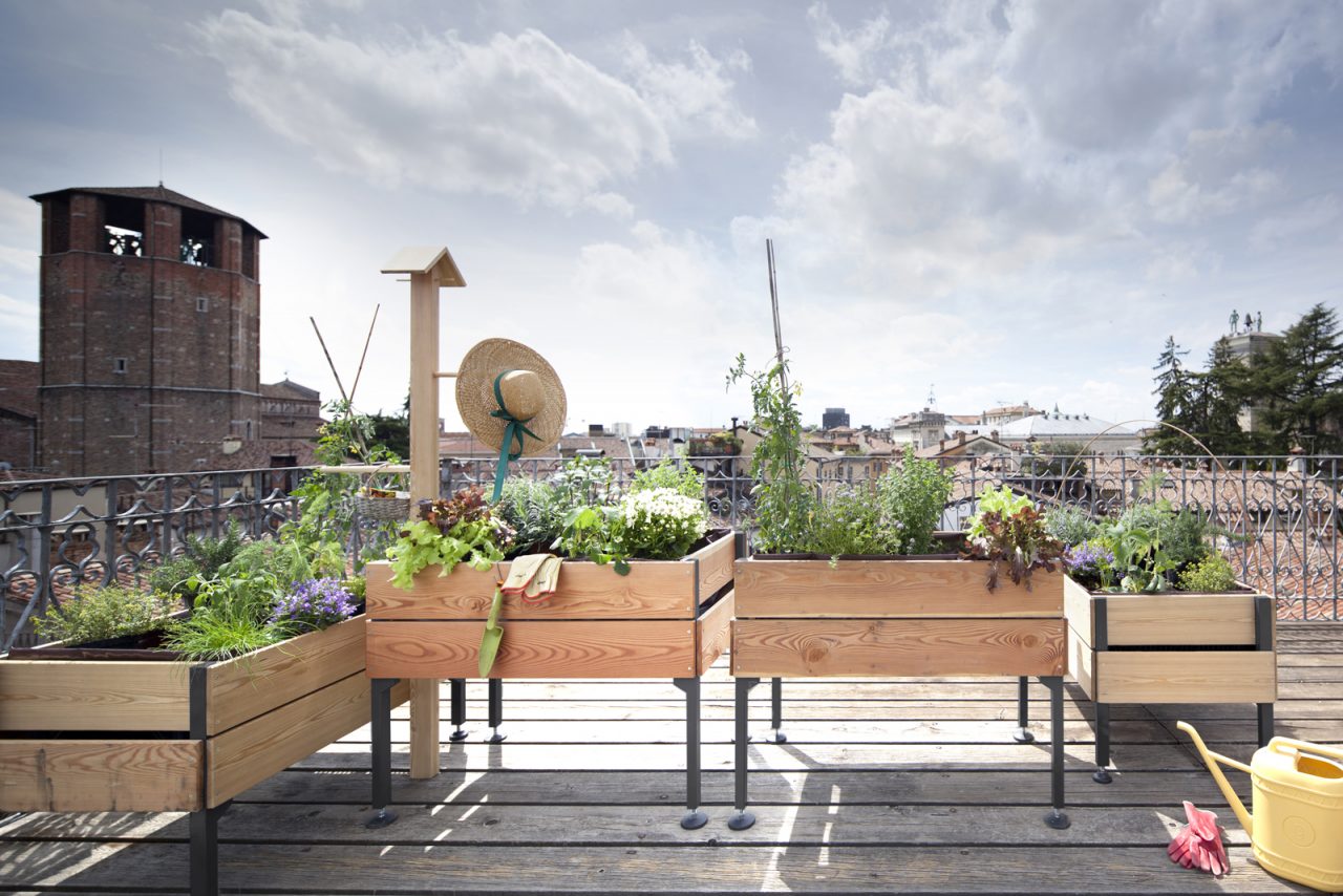 Consigli per l’orto sul balcone (marzo è proprio il periodo giusto)