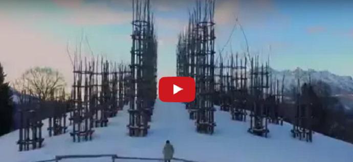 La magia della cattedrale vegetale Un video d’incanto dall’Arera