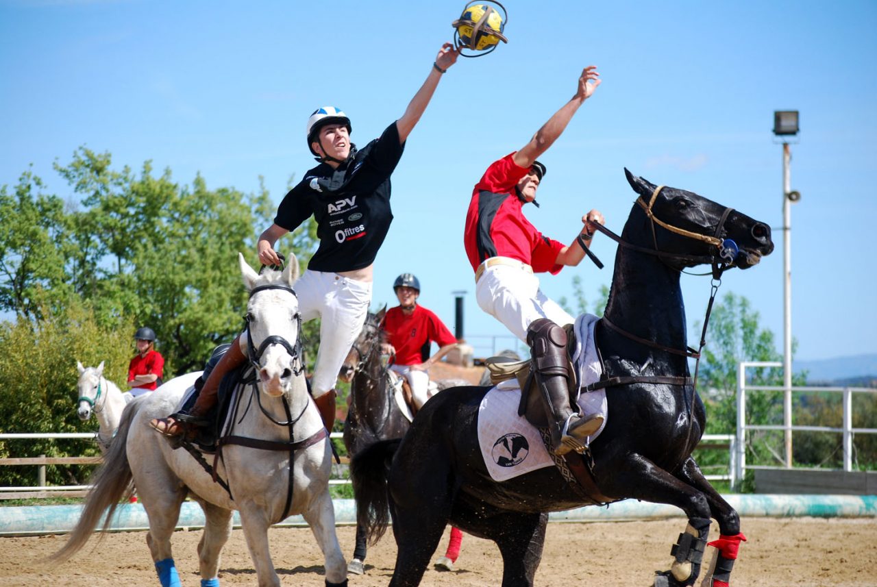 Le Olimpiadi del Brembo e dei Colli Dove si gioca a basket… a cavallo