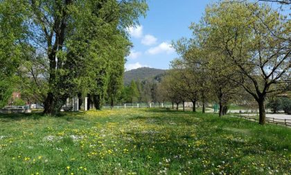 Al via il progetto di riqualificazione dello spazio al parco Goisis: tutti i dettagli