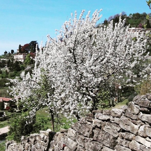 Primavera – Ferdinando Valenti