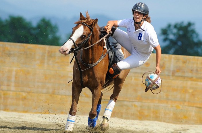 horseball-2