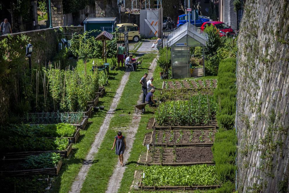 Se sognate un orto in centro città Bergamo è il posto giusto per voi