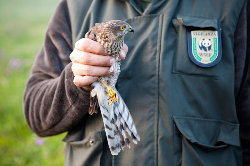 Salvo il Centro Wwf di Valpredina Riceverà addirittura più fondi