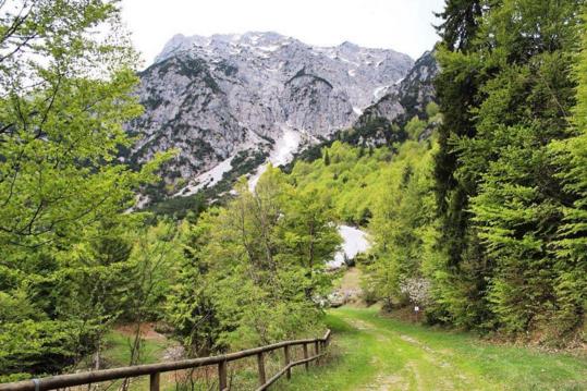 La pace a Valtorta – Rossella