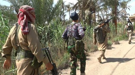 Isis: tv, accanita resistenza a Falluja, uccisi 10 soldati