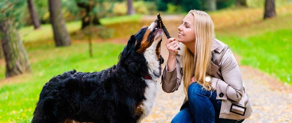 Tre giochi da fare con il vostro cane