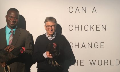 Bill Gates distribuirà galline
