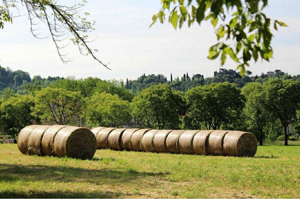 Aspettando l’estate fuori città… – Rossella