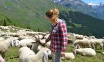 Dopo una settimana in alpeggio Nadia racconta la sua avventura