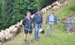 Pasturs, l'esperienza dei giovani al servizio dei pastori bergamaschi