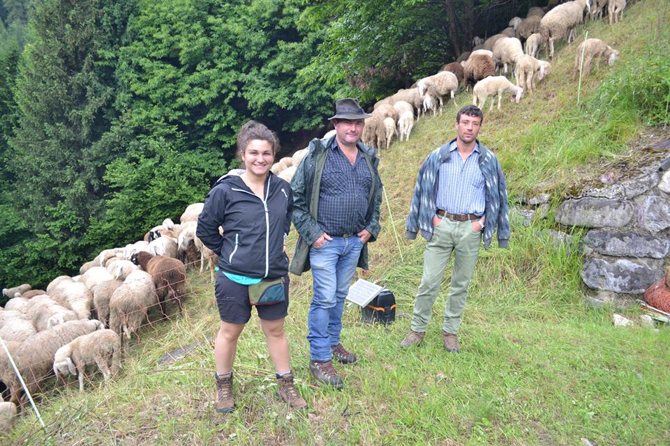 Pasturs, l’esperienza dei giovani al servizio dei pastori bergamaschi