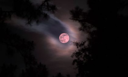 Arriva nei cieli il solstizio d’estate Avete visto la Luna di Fragola?