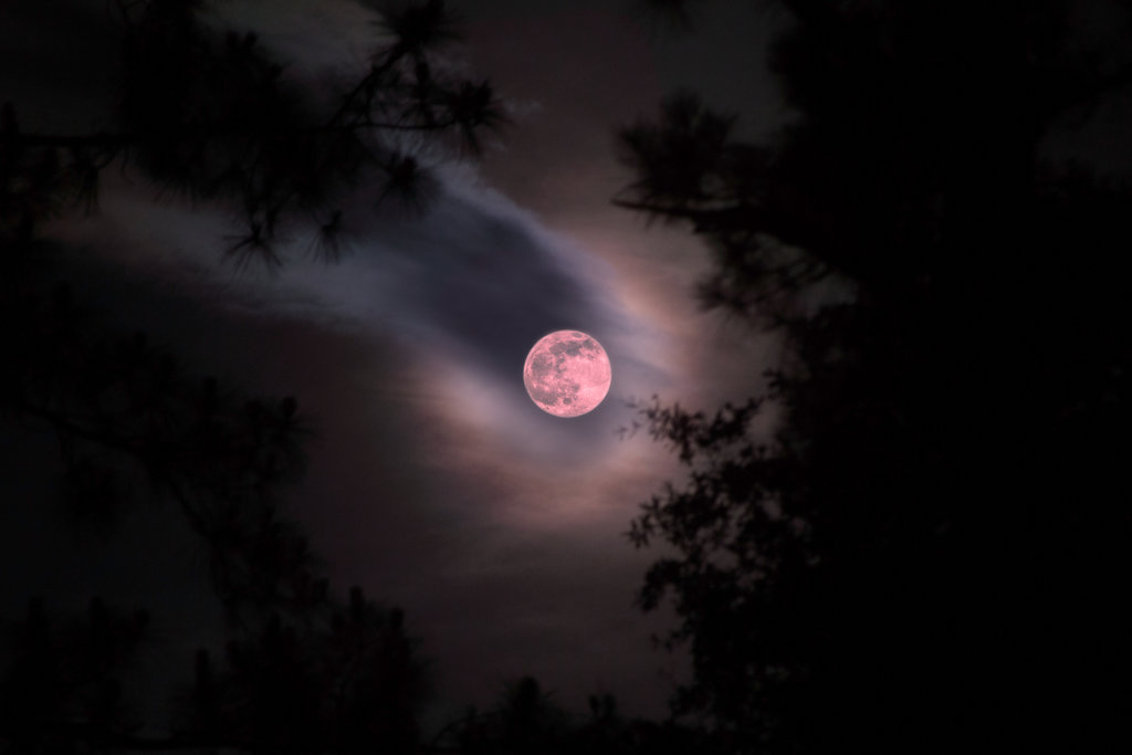 Arriva nei cieli il solstizio d’estate Avete visto la Luna di Fragola?