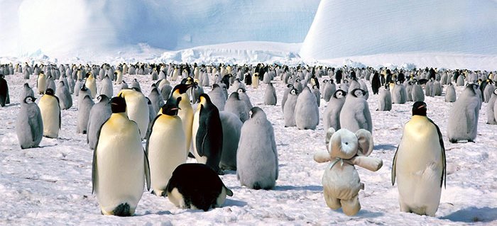 Il viaggio dell’elefantino di pezza (bugia a fin di bene per un bimbo)