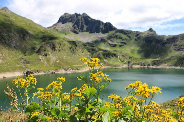 Natura ai Laghi Gemelli – Francesco Mazza