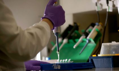 Il vostro Dna nell'inchiesta su Yara? Che fine farà ora, a caso chiuso