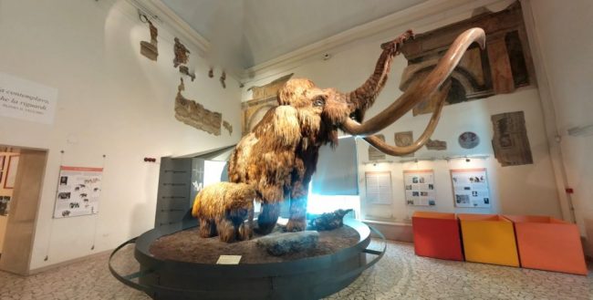 Tra visite guidate e musei, tutto esaurito a Bergamo per la Festa di Sant’Alessandro