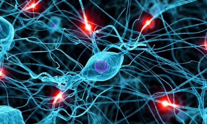 Come nascono le nostre abitudini (una questione di circuiti cerebrali)
