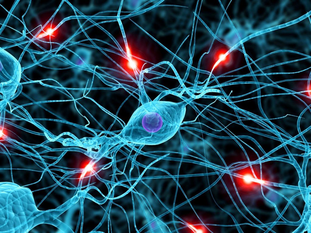Come nascono le nostre abitudini (una questione di circuiti cerebrali)