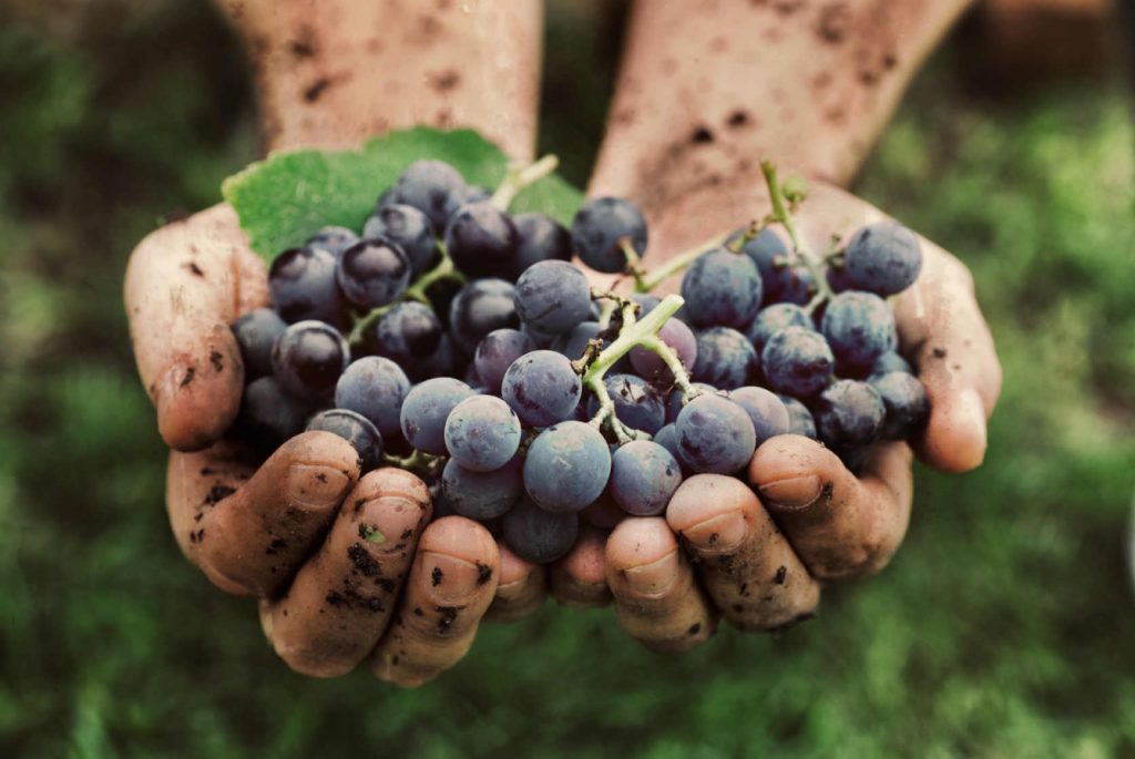 10 frasi bergamasche sull’autunno