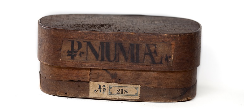 Quando i pittori dipingevano quadri con un colore fatto di mummie