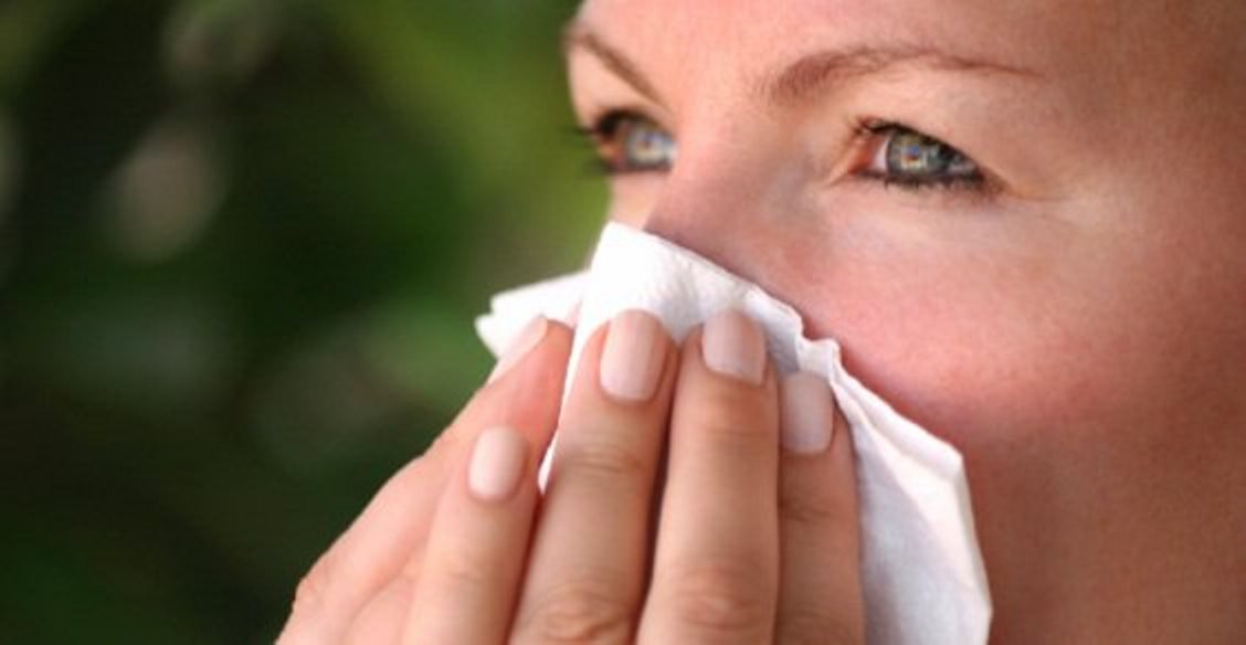 Sorpresa, il virus del raffreddore ci è stato passato dai dromedari