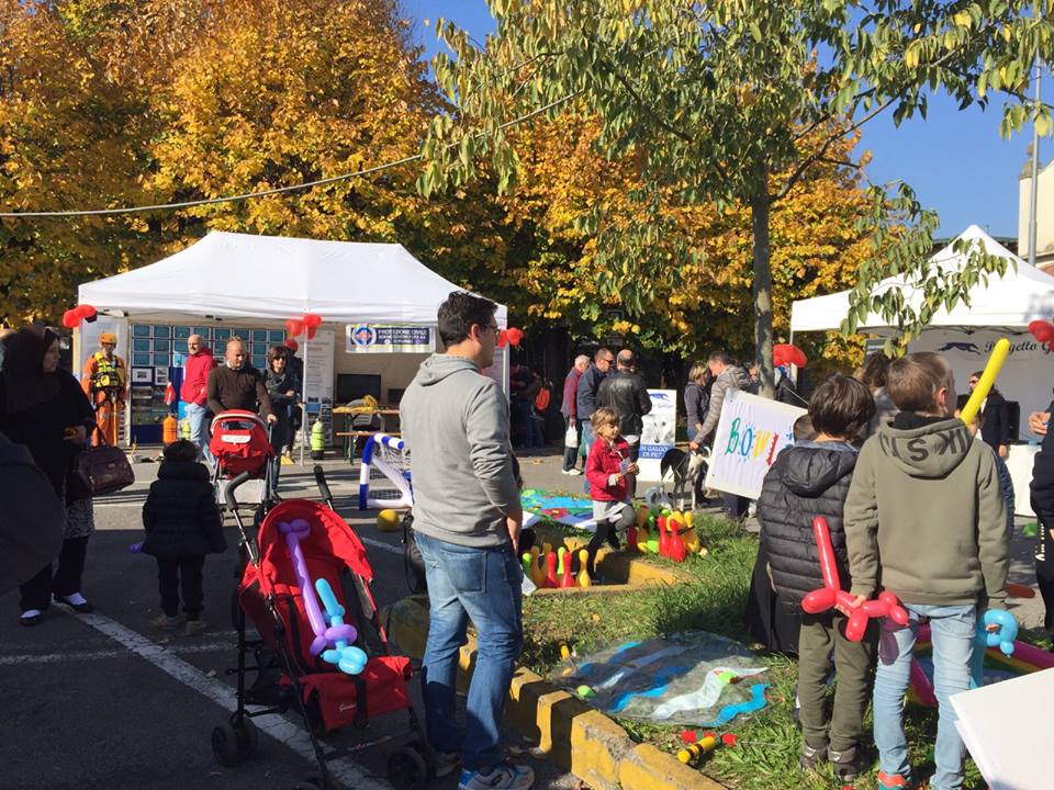 A Seriate sono Emozioni d’autunno Una festa a misura di tradizione