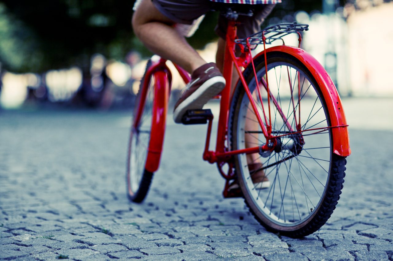 Cinque notizie che non lo erano Niente bollo per le biciclette, dai