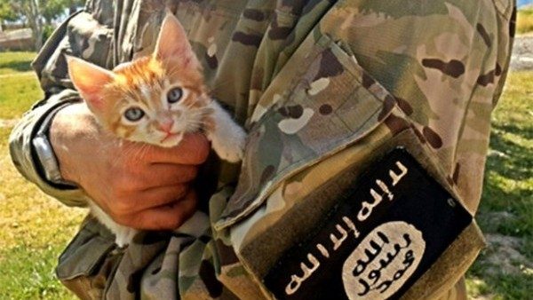 Cinque notizie che non lo erano L’Isis non vuole sterminare i gatti