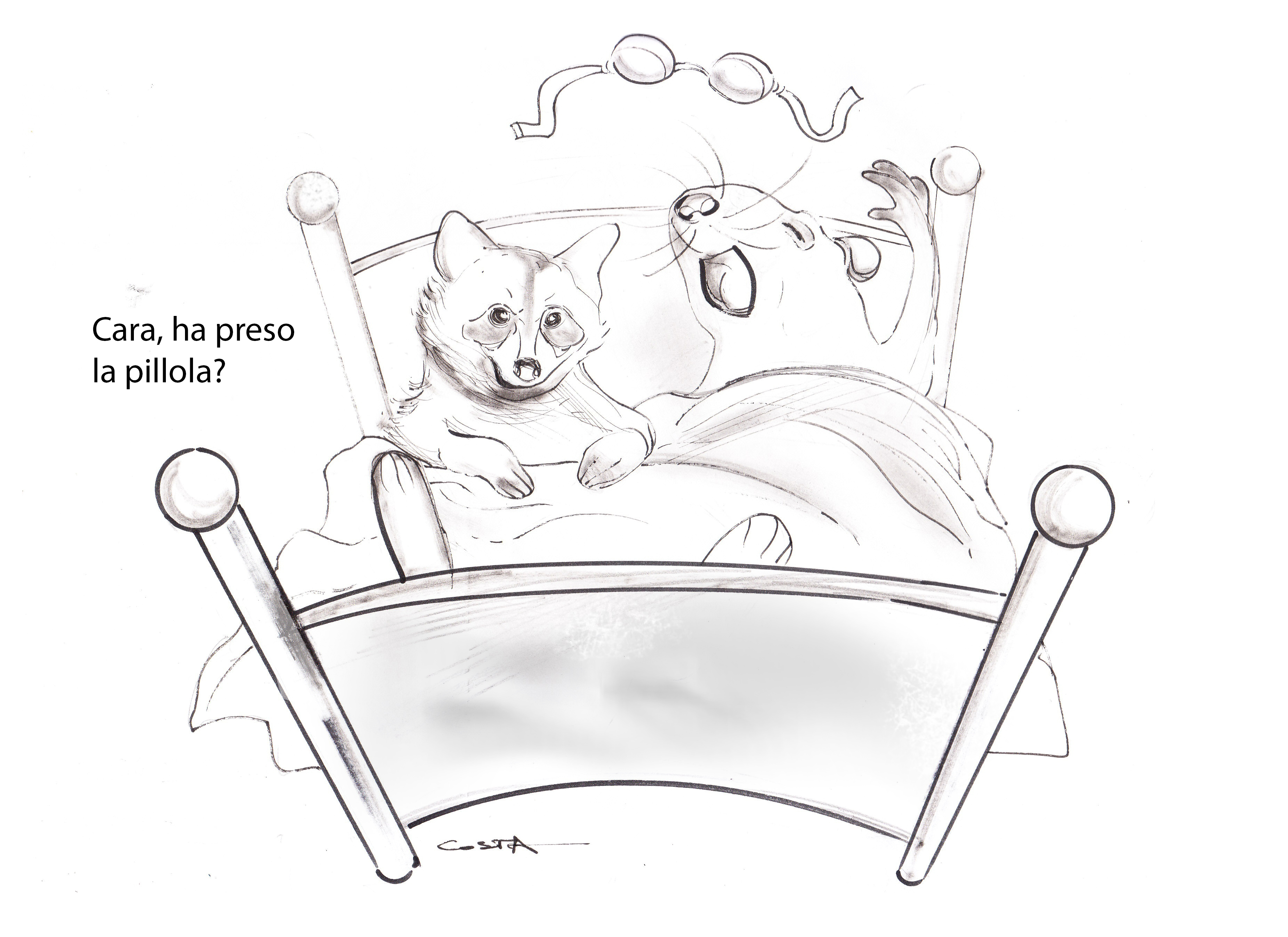 contraccettivi che ti fanno perdere peso contraccettivi che ti fanno perdere peso