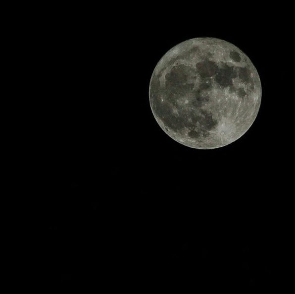 Superluna – BraccoBud