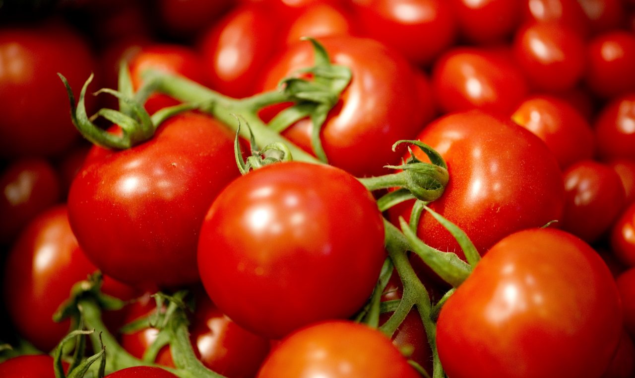 Vietato tenere i pomodori in frigo!