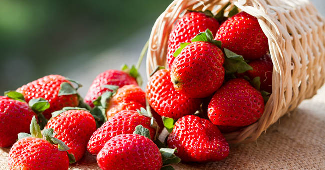 Il potere anti-tumorale delle fragole (un beneficio tutto al femminile)