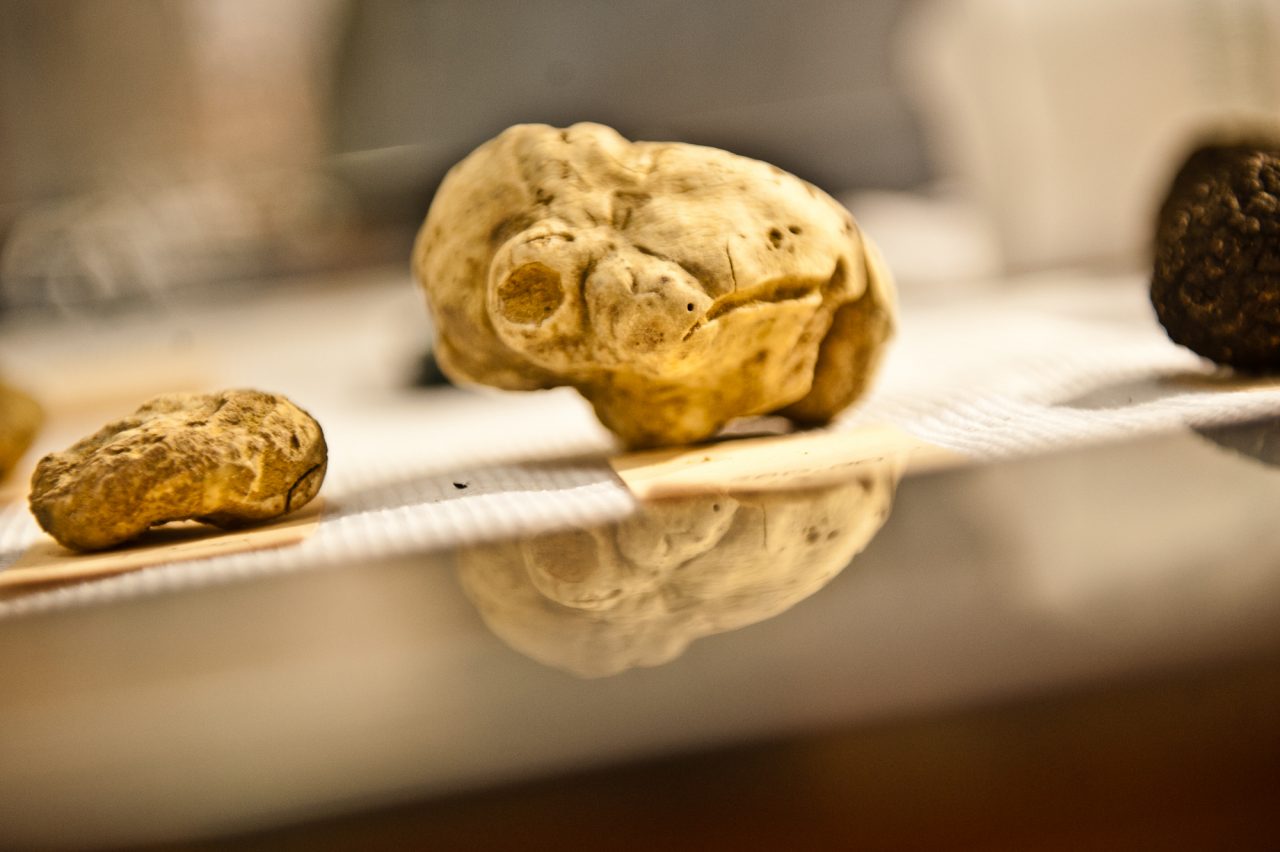Guida completa al tartufo