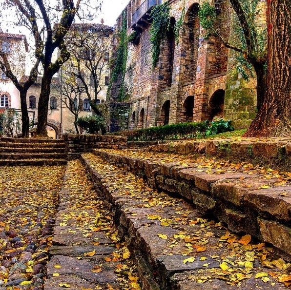 Fine autunno – Luca Abozzi