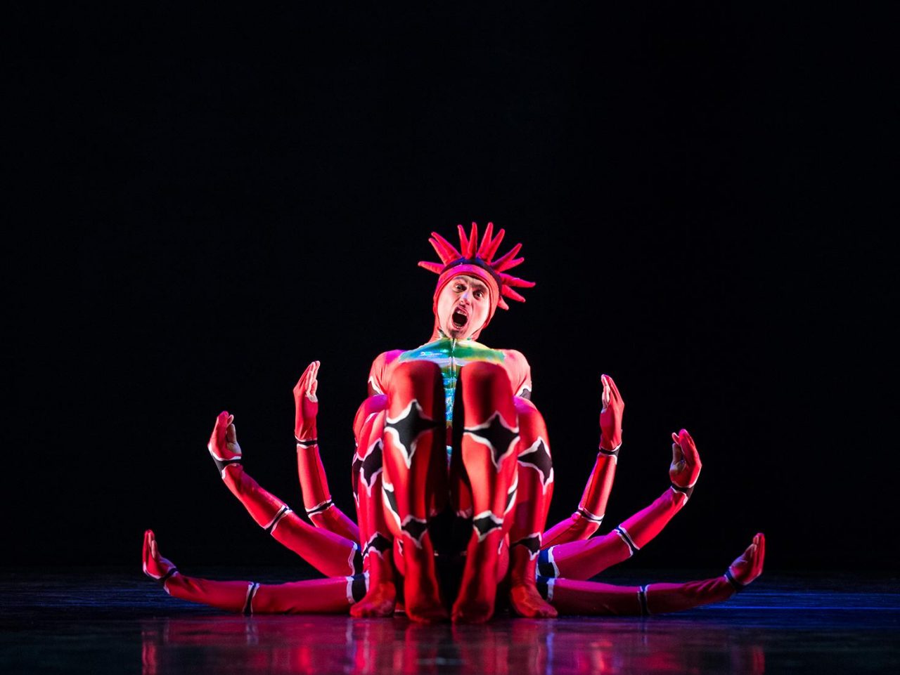 Tutto l’aspetto erotico dei cactus nella danza dei Momix al Creberg