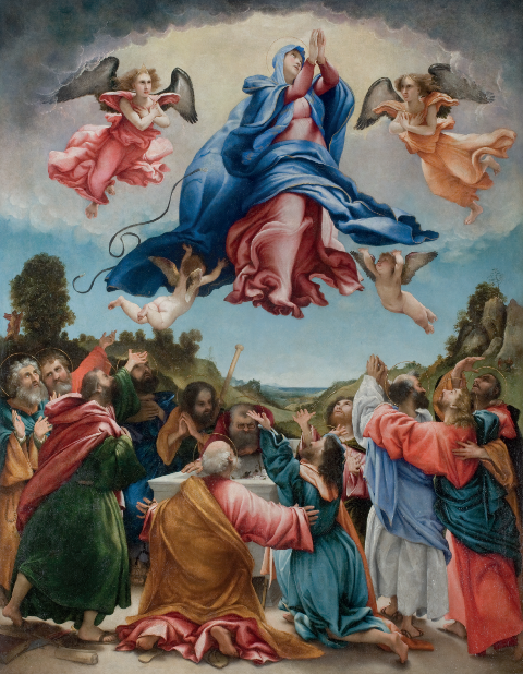 Lorenzo Lotto, Assunzione di Maria, 1527