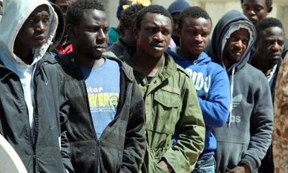 I clandestini espulsi da Bergamo (almeno, stando ai dati teorici)