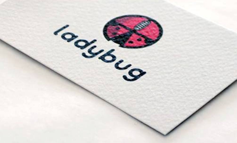Ladybug, un’azienda di successo. Avere vent’anni e idee ben chiare