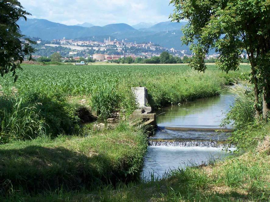 Parco Agricolo, il verde è garanzia Sarà scritto nero su bianco nel Pgt