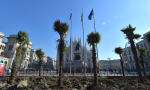 La diatriba palme in piazza Duomo (ma cominciò il cardinal Borromeo)