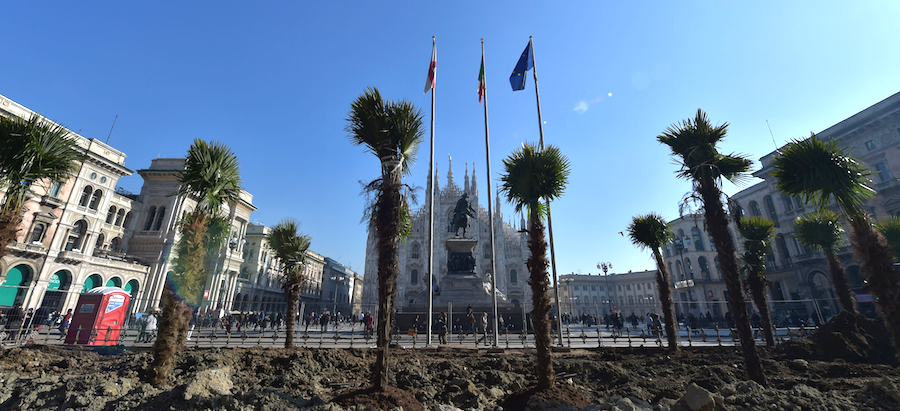 La diatriba palme in piazza Duomo (ma cominciò il cardinal Borromeo)