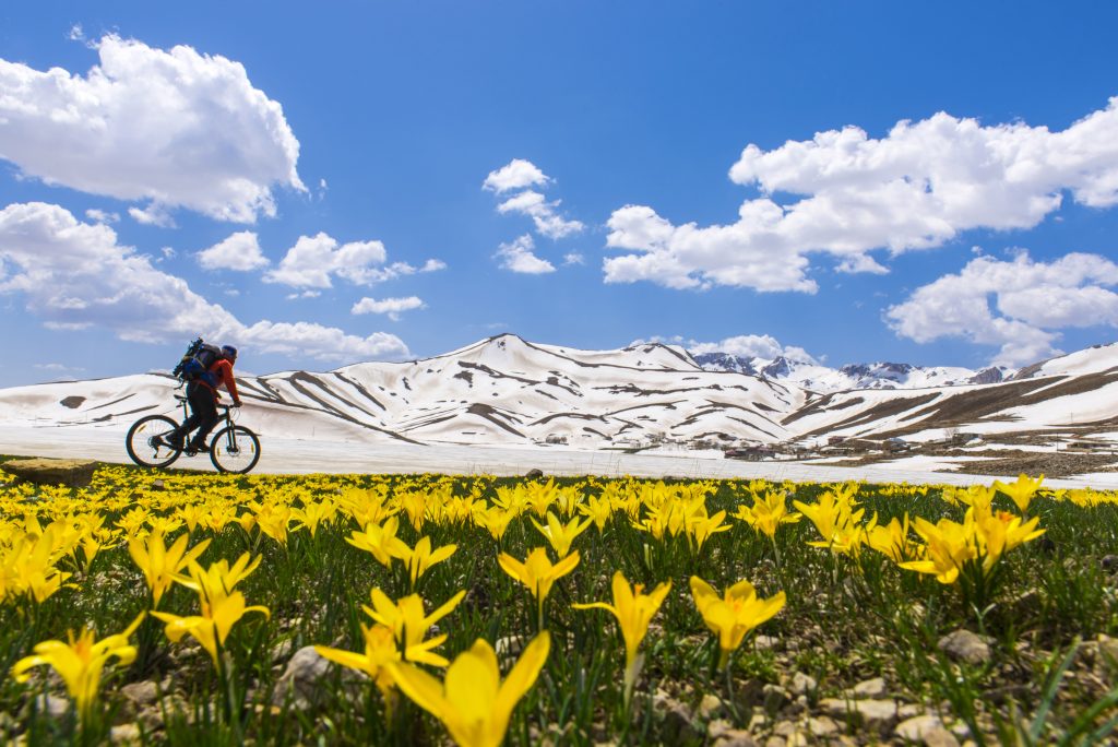 biker-going-past-mountain-landscape-with-flowers_fotoHBostanci_PD