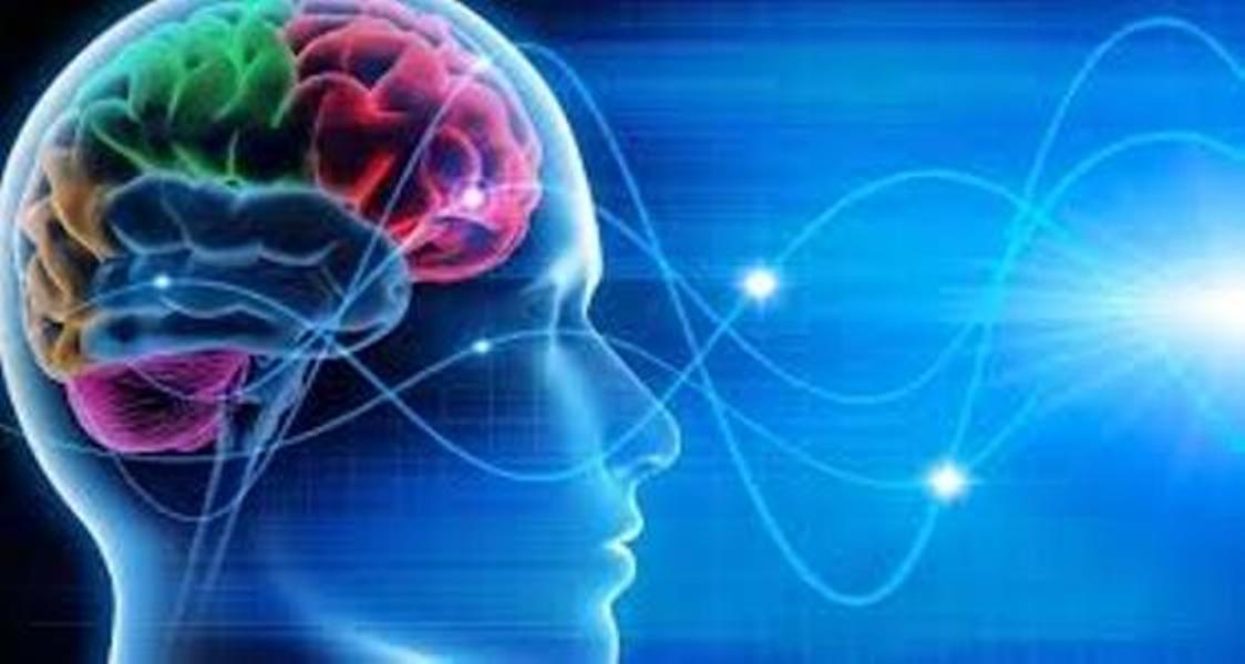 La personalità è scritta nel cervello