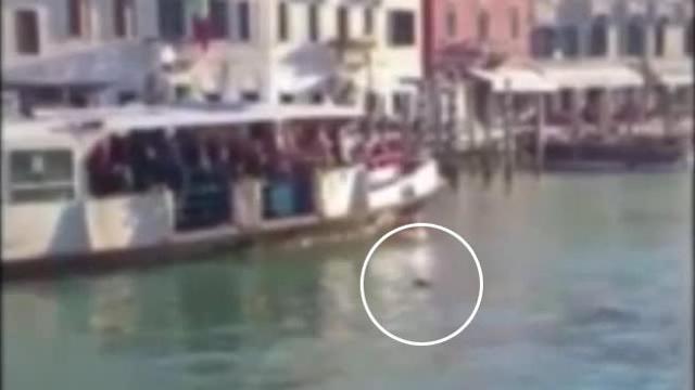 Il profugo morto nel Canal Grande Una storia da non dimenticare